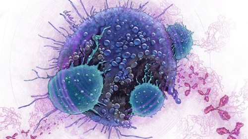immuno-therapy