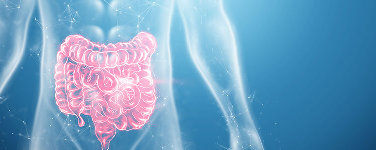 Intestinal atresia types 